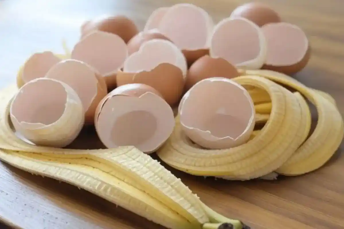 Blend bananskræl og æggeskaller: Derfor skal du gøre det, og hvad det bruges til