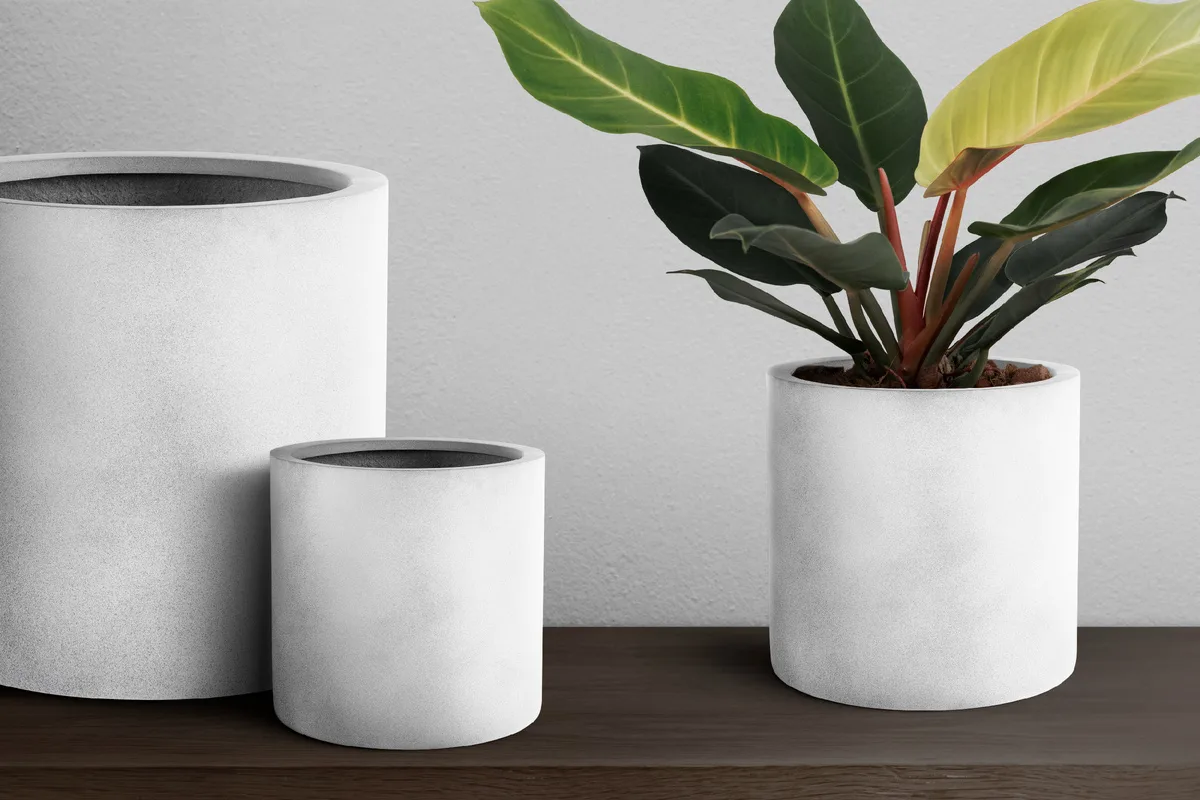 Genopliv døende planter: Sådan giver du dit havegrønt en ny chance