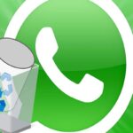WhatsApp papirkurv: Gendan slettede filer og hold din app organiseret